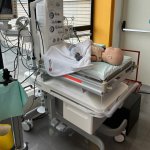 Catanzaro, al Pugliese-Ciaccio due giornate dedicate alla Rianimazione neonatale in sala parto